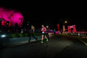 BIB: 
                            <button type="button" onclick="openModal(26552519)" class="btn btn-primary btn-sm float-right btn-popup" data-toggle="modal" data-target=".modal-high-quality">
                        <i class="fas fa-shopping-cart"></i> Add to Cart
                    </button>
                                            <button type="button" onclick="isThisMe(26552519, true)" class="btn btn-success btn-sm float-right btn-popup btn-isme hidden" data-toggle="tooltip" data-placement="bottom" title="นี่คือรูปของคุณใช่ไหม คลิกที่นี่เพื่อเอาเข้าอัลบั้ม">
                        <i class="fas fa-plus"></i> Add to album
                    </button>
                    <button type="button" onclick="isThisMe(26552519, false)" class="btn btn-warning btn-sm float-right btn-popup btn-isnotme hidden">
                        <i class="fas fa-ban"></i> Remove from album
                    </button>